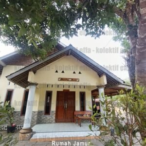 rumah jamur 